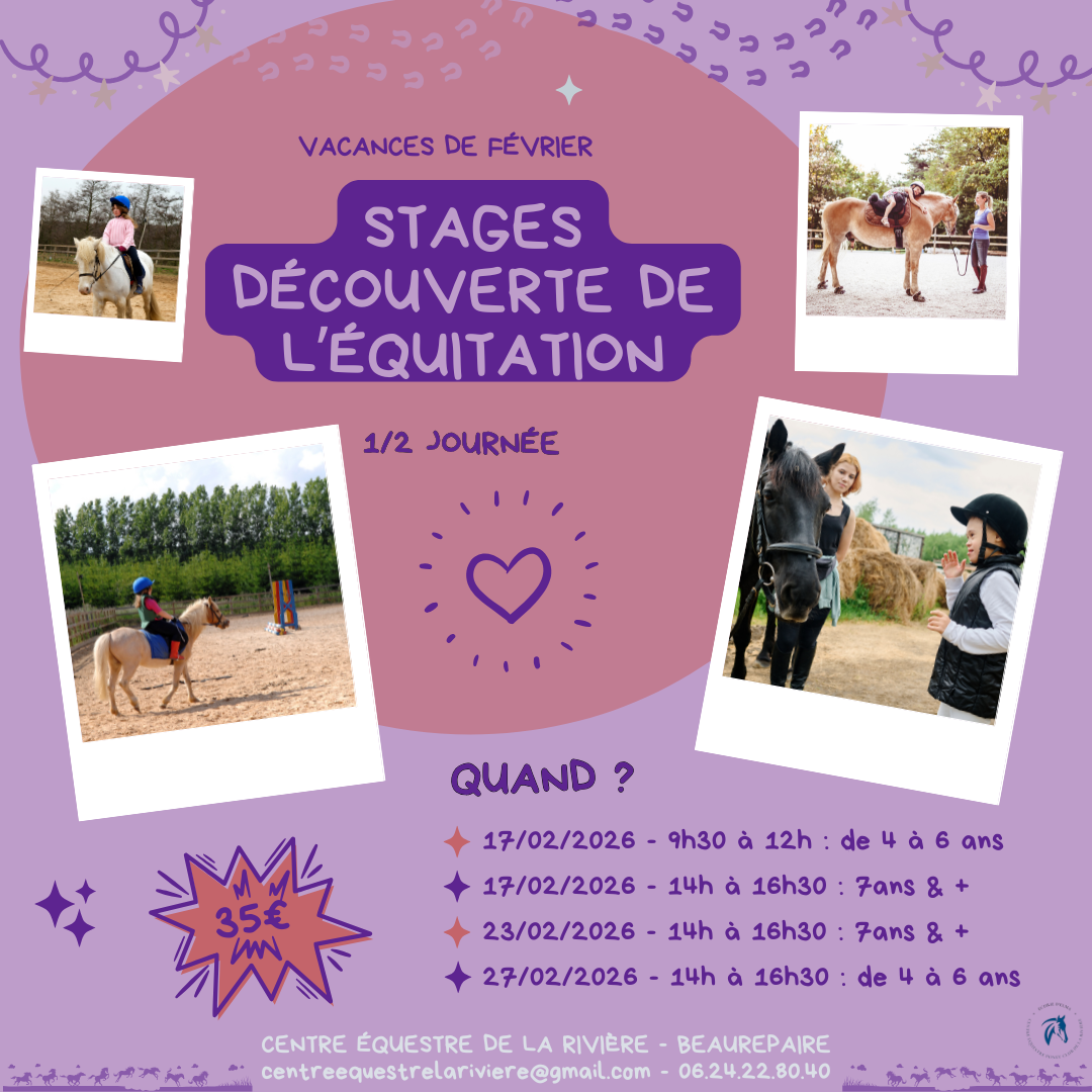 Stage Découverte 4/6 ans
